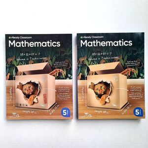 i-Ready Classroom Mathematics Grade 5 Volume 1 & 2 Student Workbooks Homeschool
